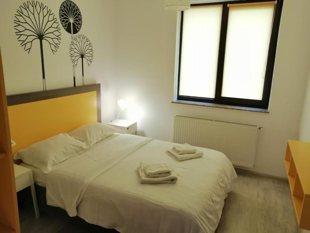 Cozy Accommodation Central City - Iasi Exteriér fotografie