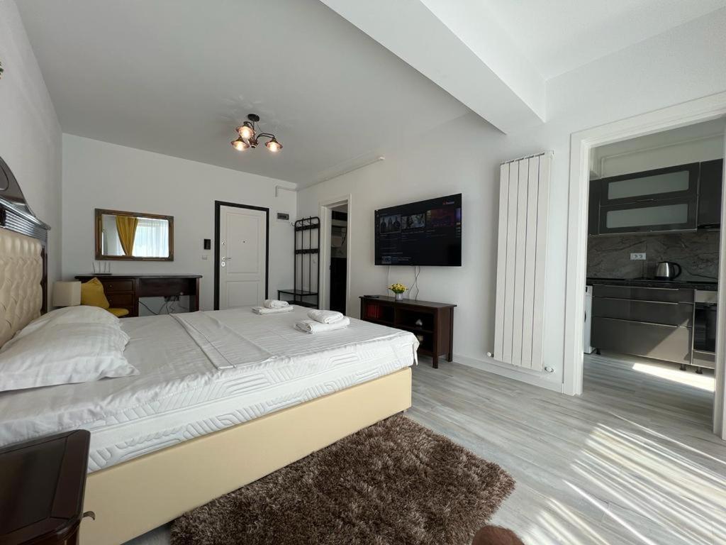 Cozy Accommodation Central City - Iasi Exteriér fotografie