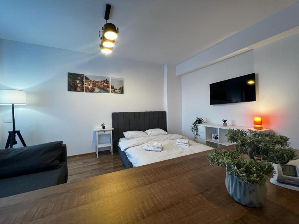 Cozy Accommodation Central City - Iasi Exteriér fotografie